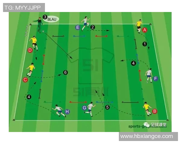 南京足球队力量表现的数据分析与战术研究探讨