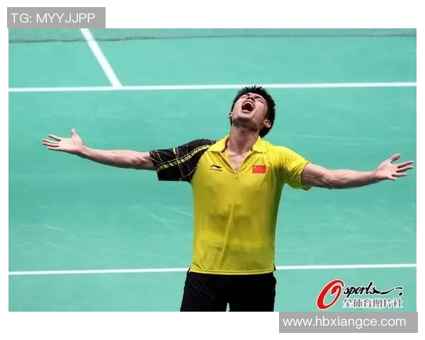 南京羽毛球队的战术解析与阵地战深度剖析