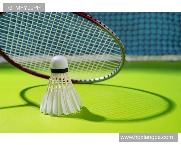 南京羽毛球队防反战术深度分析与实战应用探讨 南京羽毛球队防反战术深度分析与实战应用探讨